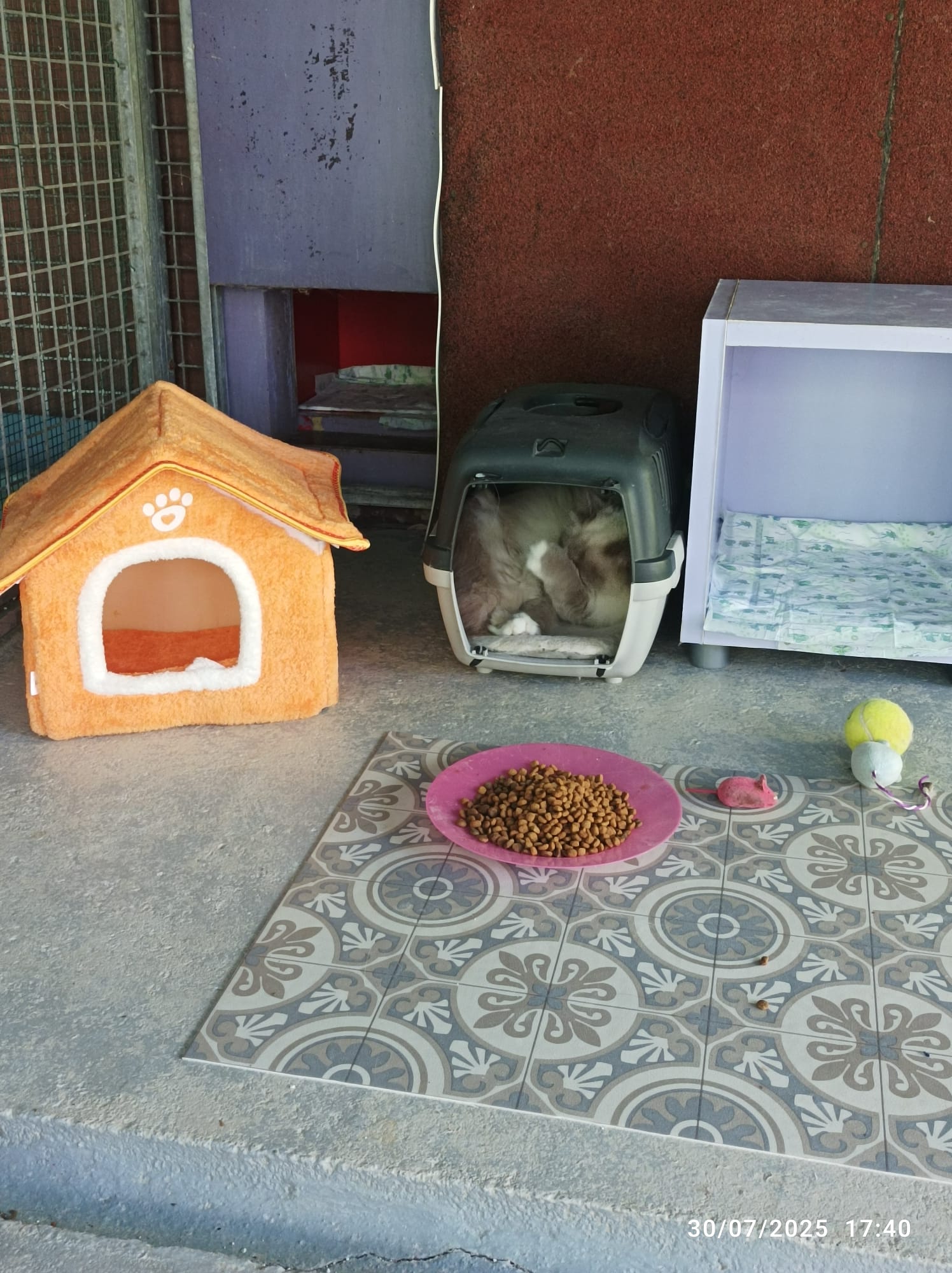 Expertise et hygiène